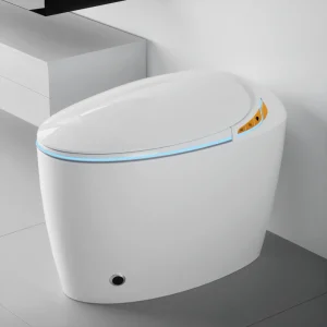 Unique Smart Toilet with Bidet